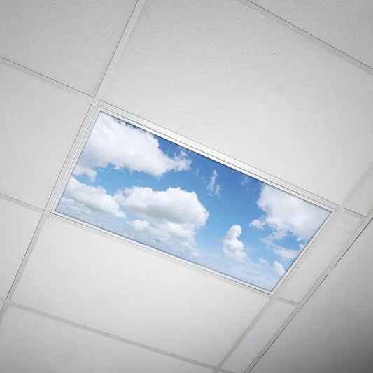 Fluorescent Light Cover - Cloud 008