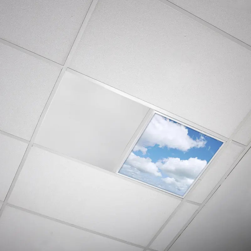 Fluorescent Light Cover - Cloud 008